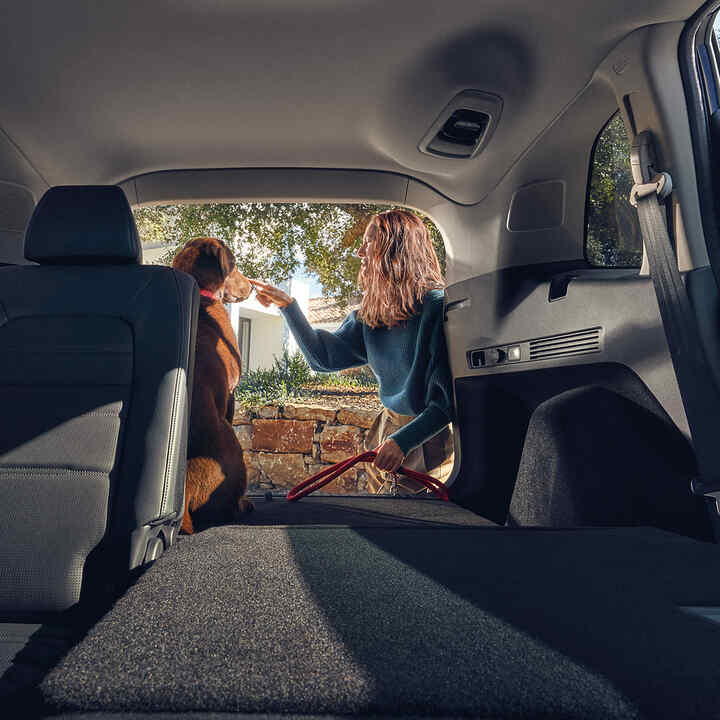 A Honda CR-V Hybrid hátsó része, lehajtott hátsó ülésekkel és egy kutyával a csomagtartóban.