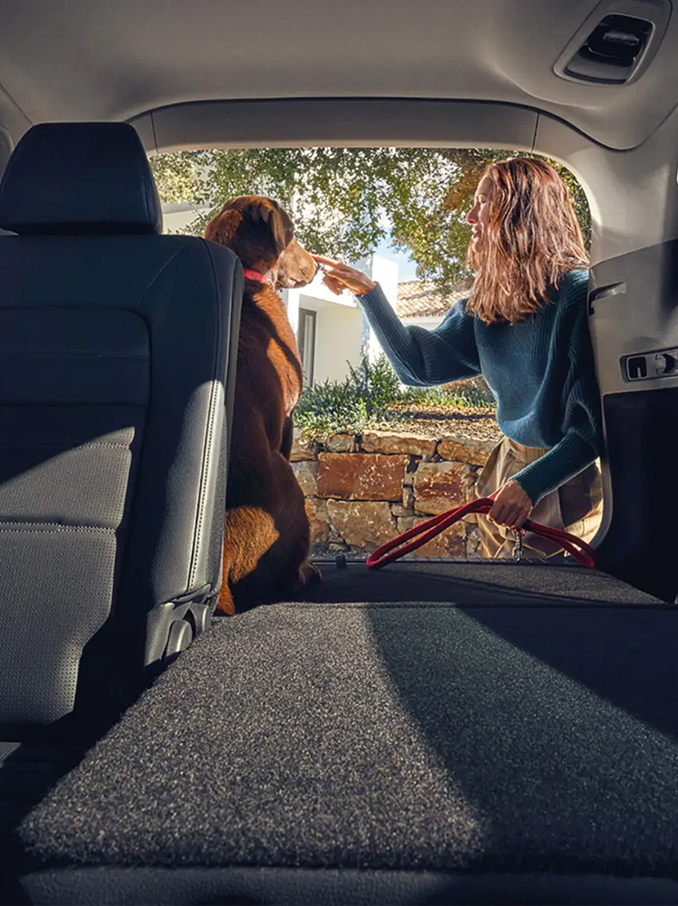 Az autó belső tere üveg panorámatetővel, amelyen át a kék ég és a napfény látható; elöl bőrülések és fejtámlák, amelyeket természetes fény világít meg.