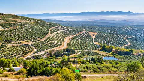 Klasszikus spanyol nyári hegyvidéki tájkép, kilátással az útra