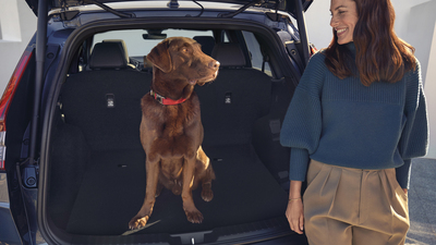 Motoros mozgat&aacute;s&uacute; csomagt&eacute;rajt&oacute;