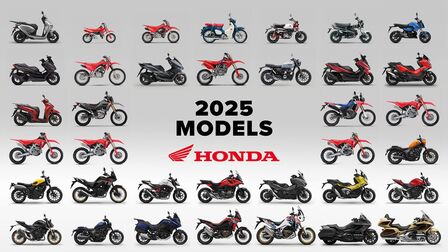 2025 Modelpaletta
