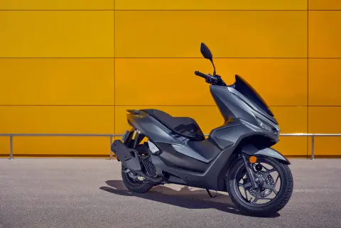 PCX125 DX