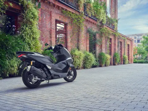 PCX125 DX