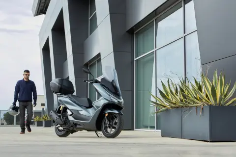 PCX125 DX